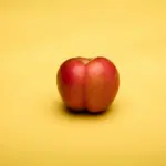 deon-black-V8TY-cyHENA-unsplash